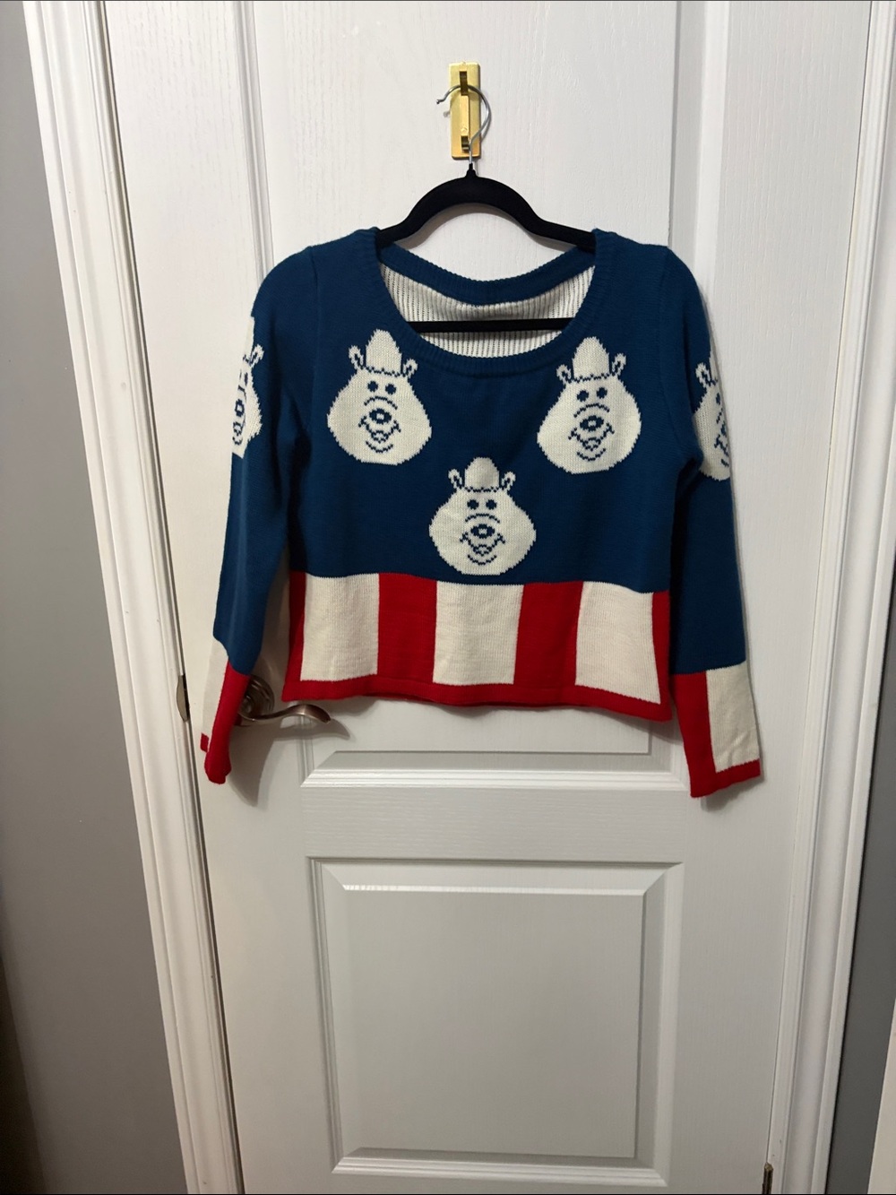 Blue Red and White Novelty Bear Sweater